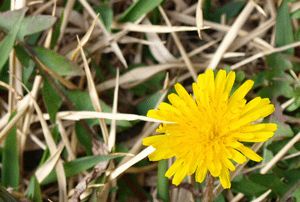 �ɲ� ������ظ�Ǯ��2