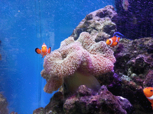 ��������²�1