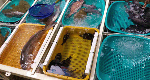 ��������²�2