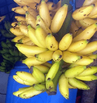 ���ϲ�  ������ظ�Ǯ��2